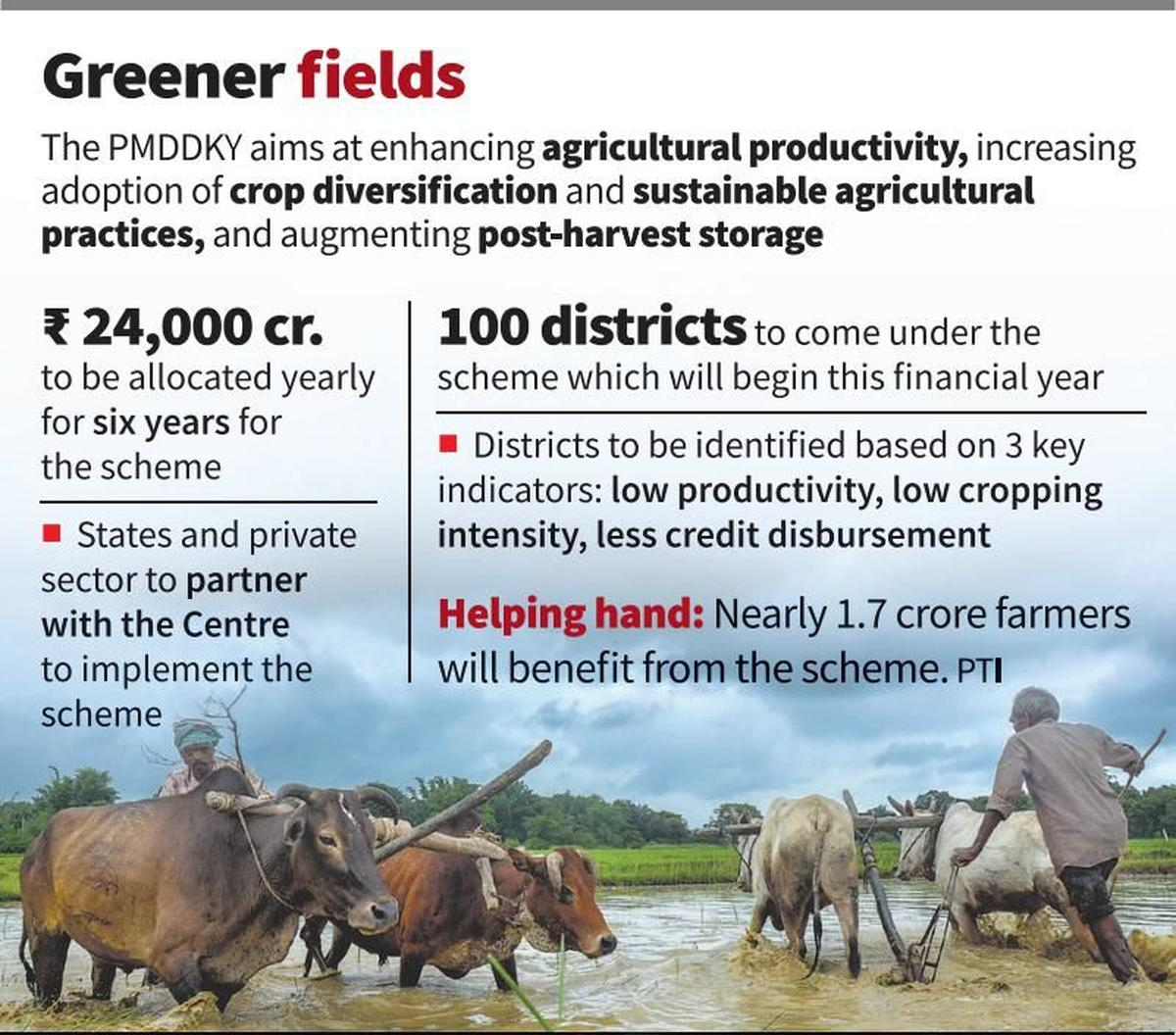 GREENER FIELD